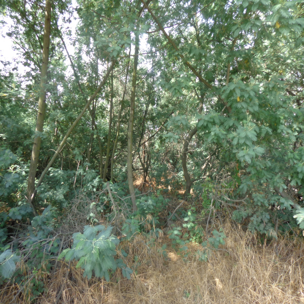 Offres de vente Terrain Palau-del-Vidre 66690