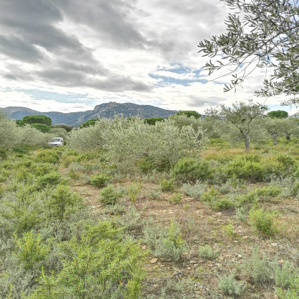 Offres de vente Terrain Argelès-sur-Mer 66700