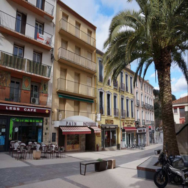 Offres de vente Immeuble Amélie-les-Bains-Palalda 66110