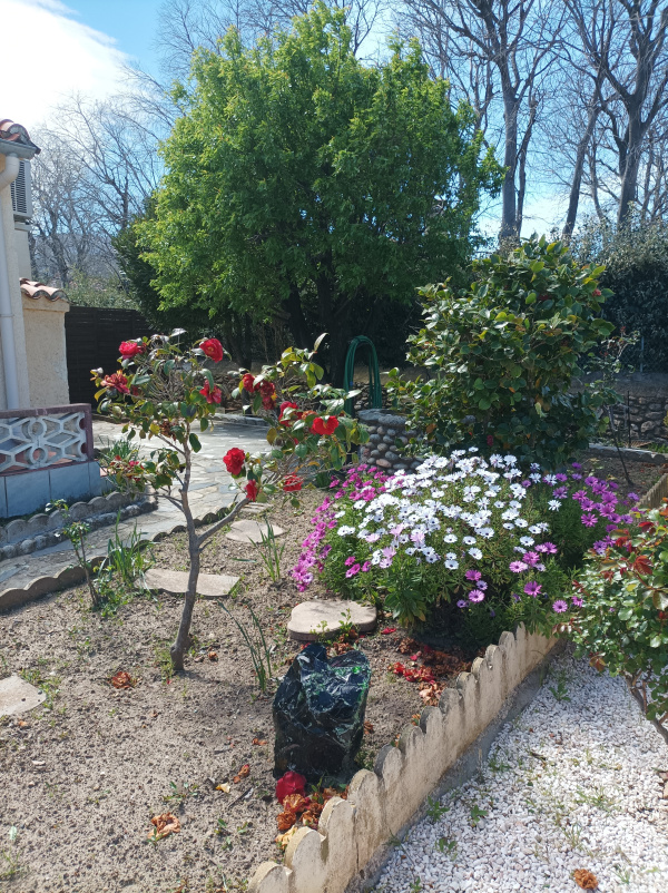 Offres de vente Maison Sorède 66690